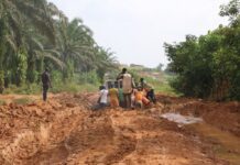 Développement des infrastructures routières, La route, une préoccupante question pour le Cavally.