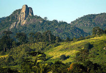 Le Tonkpi, l’étoile des montagnes.