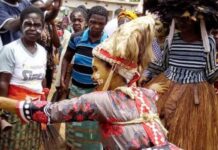 La région du Cavally, une richesse naturelle.