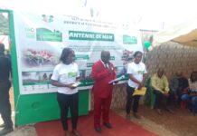 Initiative villes vertes : Promouvoir le potentiel environnemental