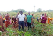 Focus : La CGRAE au secours des veuves de fonctionnaires