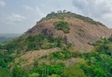 Le Mont Niénokoué : Les étages du Parc national de Taï