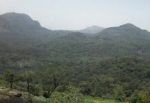 Le parc national du Mont Sangbé, le lieu où vivent plus de 40 espèces de mammifères et 370 oiseaux