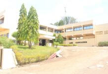 Quand prestige et beauté engendrent le développement