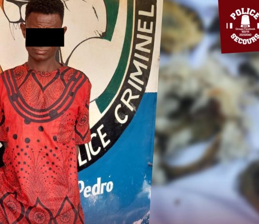 BRI SAN PEDRO : Meurtre et Cannibalisme à Méagui : l’horreur découverte au cœur de Kôtôh